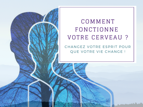 Comment fonctionne votre cerveau